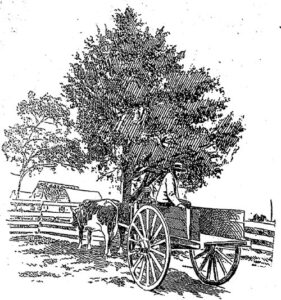 A drawing of a farmer in an ox-drawn wagon.