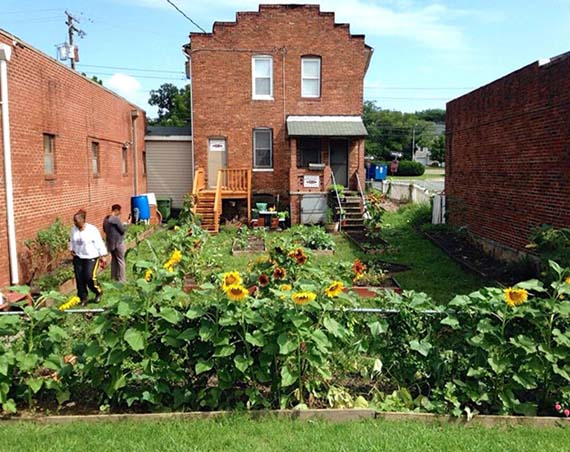 A garden full of sunflowers and other plants grows next to the church